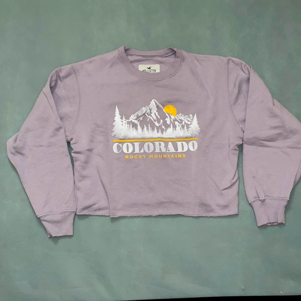 Hollister Cropped Sweatshirt
